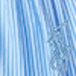Blue/White