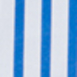 Blue/White