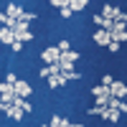 Blue/White Multi