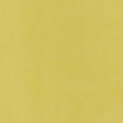 Champion Yellow
