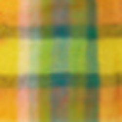 Spring Yellow