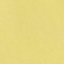 Champion Yellow