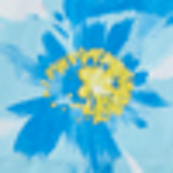 Blue/White Multi