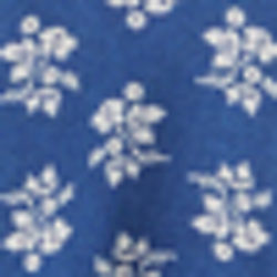 Blue/White Multi