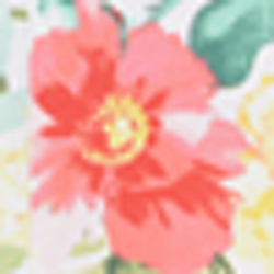 Pink Multi