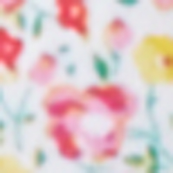 White Multi
