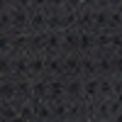 Polo Black