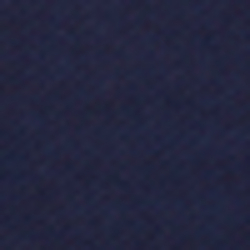 French Navy