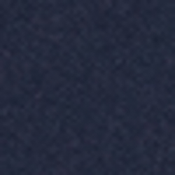 French Navy