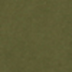 Ancient Green