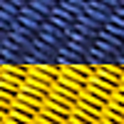 Navy/Gold