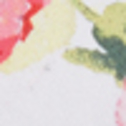 Pink/White Multi