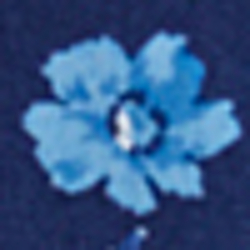 Navy Chilmark Floral