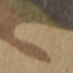Camo