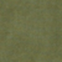 Ancient Green
