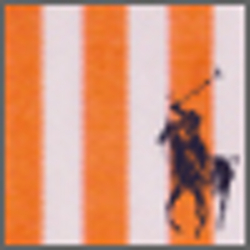 Bright Orange Multi