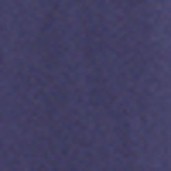 French Navy