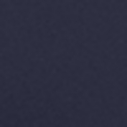French Navy