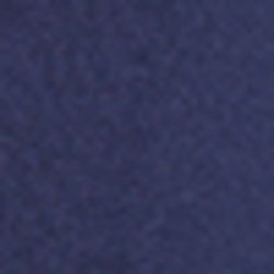 French Navy