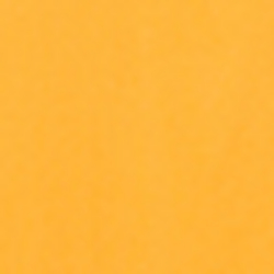 Blaze Rig Orange
