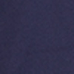 French Navy