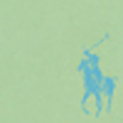 Aruba Lime