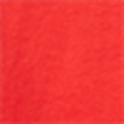 Bright Hibiscus Red