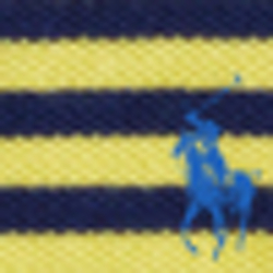 Hampton Yellow Multi