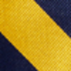 Navy/Gold