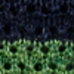 Navy/Green