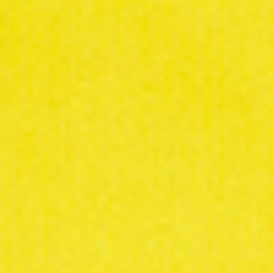 University Yellow