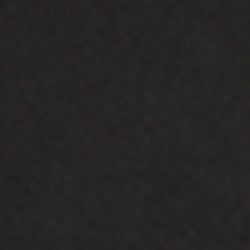 Polo Black