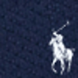 French Navy