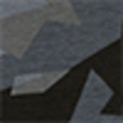 Black Camo