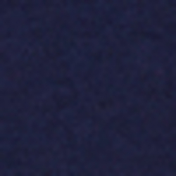 French Navy