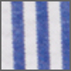 Blue/White