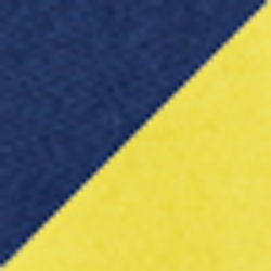 Hampton Yellow