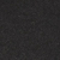 Polo Black