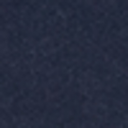 French Navy