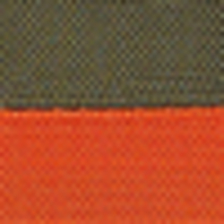 Orange W/ Ulitility Green