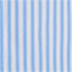 Blue/White