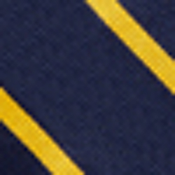 Navy/Gold