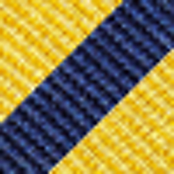 Navy/Gold