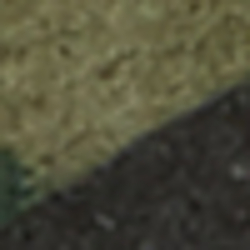 Olive Camo