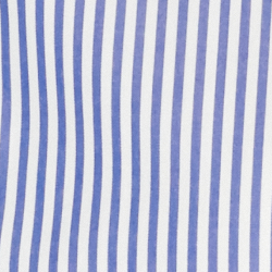 Blue/White