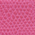 Raspberry Rose