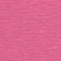 Raspberry Rose