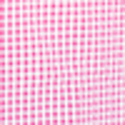 Rose Pink/White