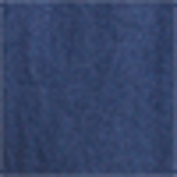 Spring Navy