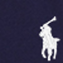 French Navy